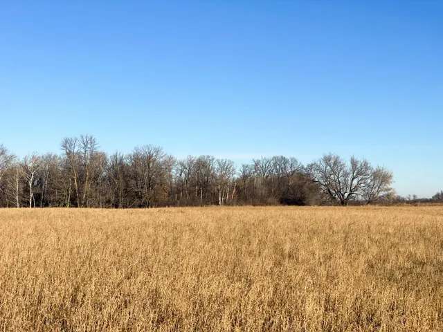 $117,000 | Tbd 440th Street Southeast, Fertile, MN 56540