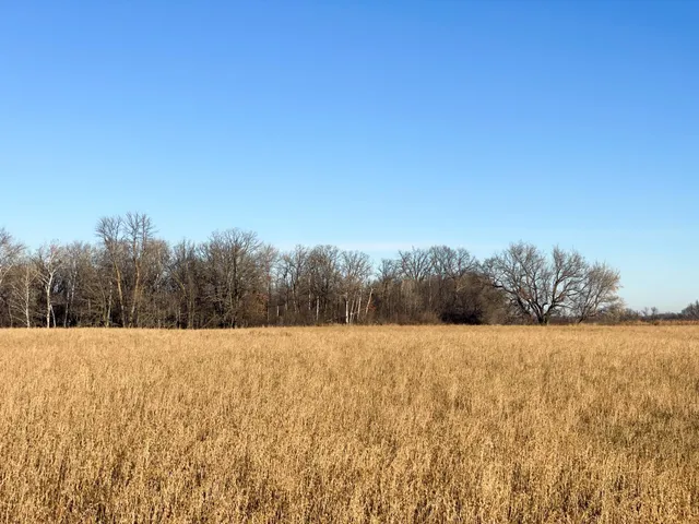 $117,000 | Tbd 440th Street Southeast, Fertile, MN 56540