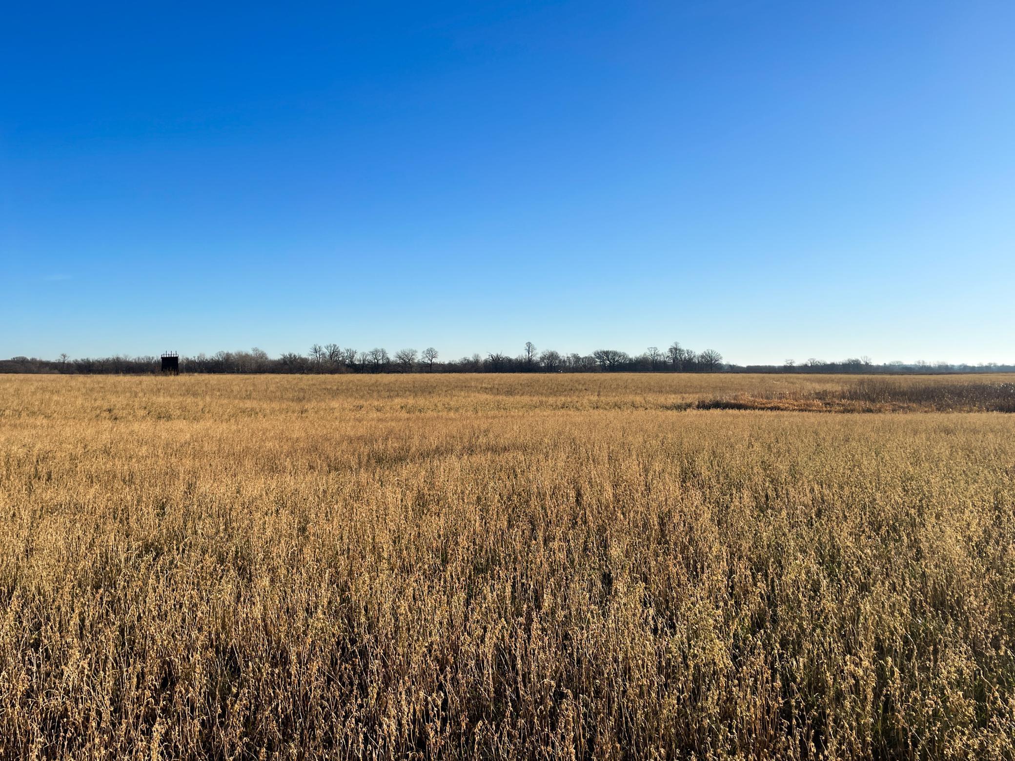 Tbd 440th Street Southeast Fertile, MN 56540 - Photo 21 of 43