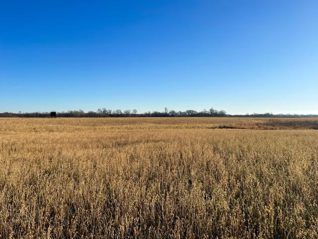 $117,000 | Tbd 440th Street Southeast, Fertile, MN 56540