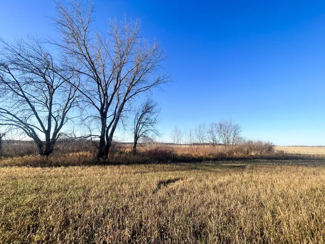 $117,000 | Tbd 440th Street Southeast, Fertile, MN 56540