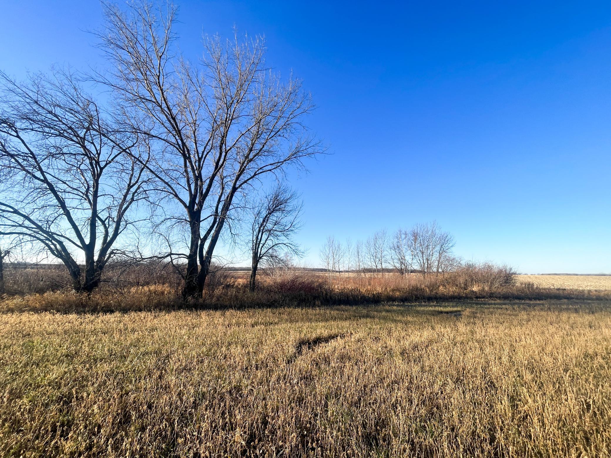 Tbd 440th Street Southeast Fertile, MN 56540 - Photo 22 of 43
