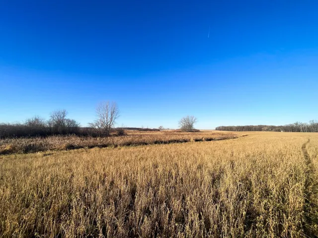 $117,000 | Tbd 440th Street Southeast, Fertile, MN 56540