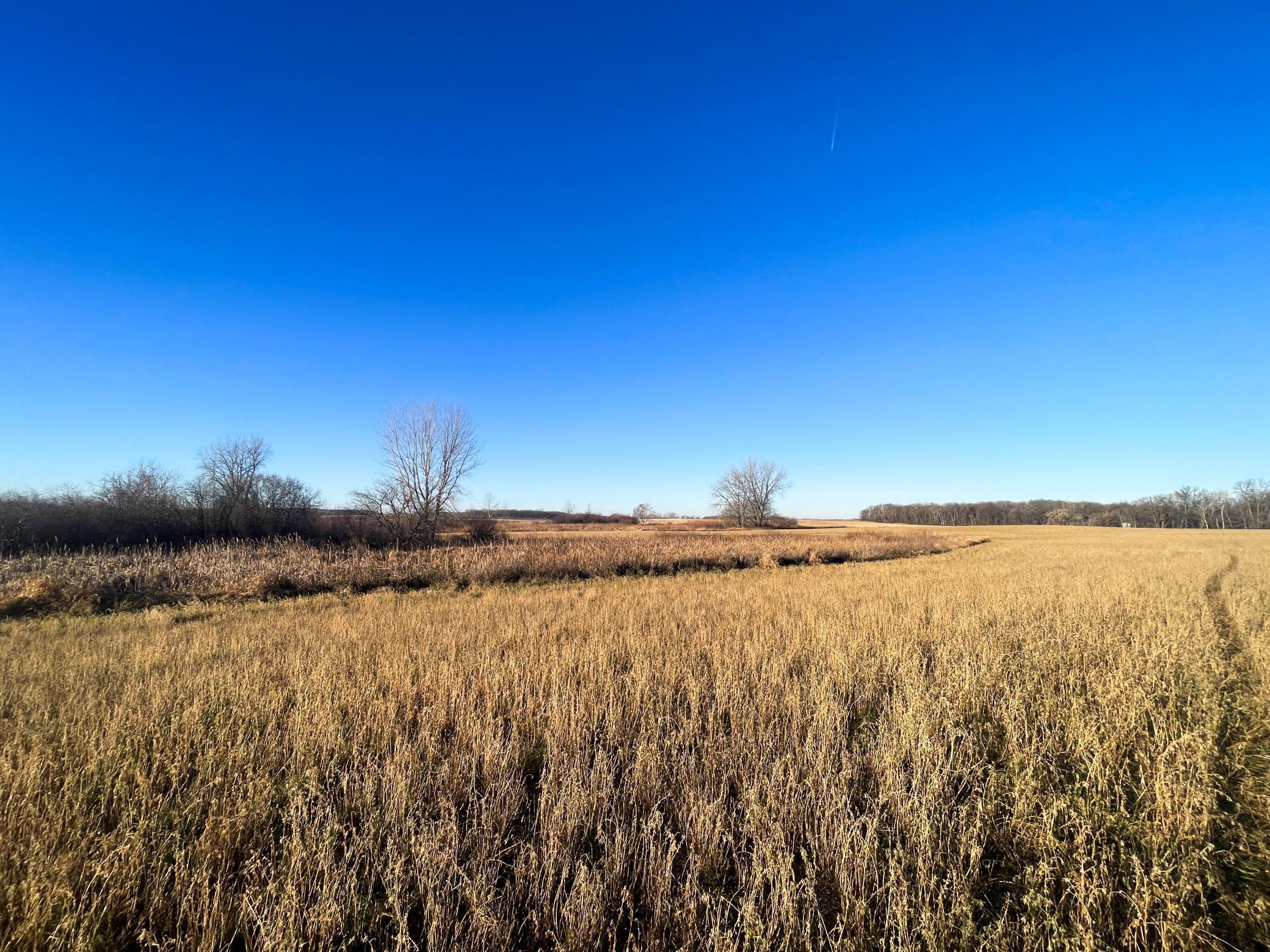 Tbd 440th Street Southeast Fertile, MN 56540 - Photo 23 of 43
