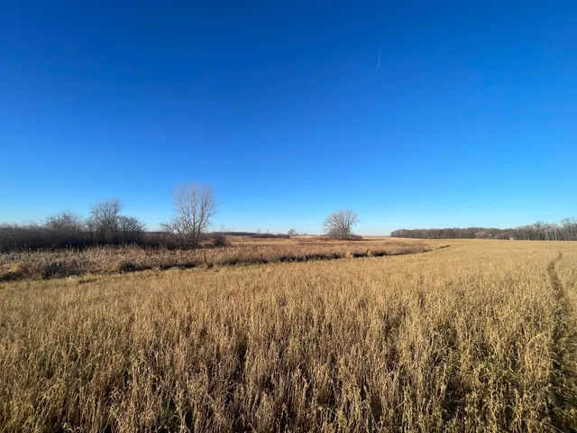 $117,000 | Tbd 440th Street Southeast, Fertile, MN 56540