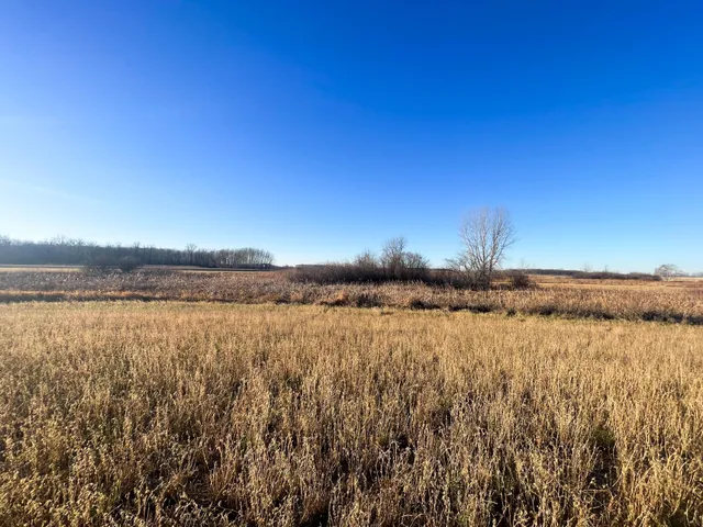 $117,000 | Tbd 440th Street Southeast, Fertile, MN 56540