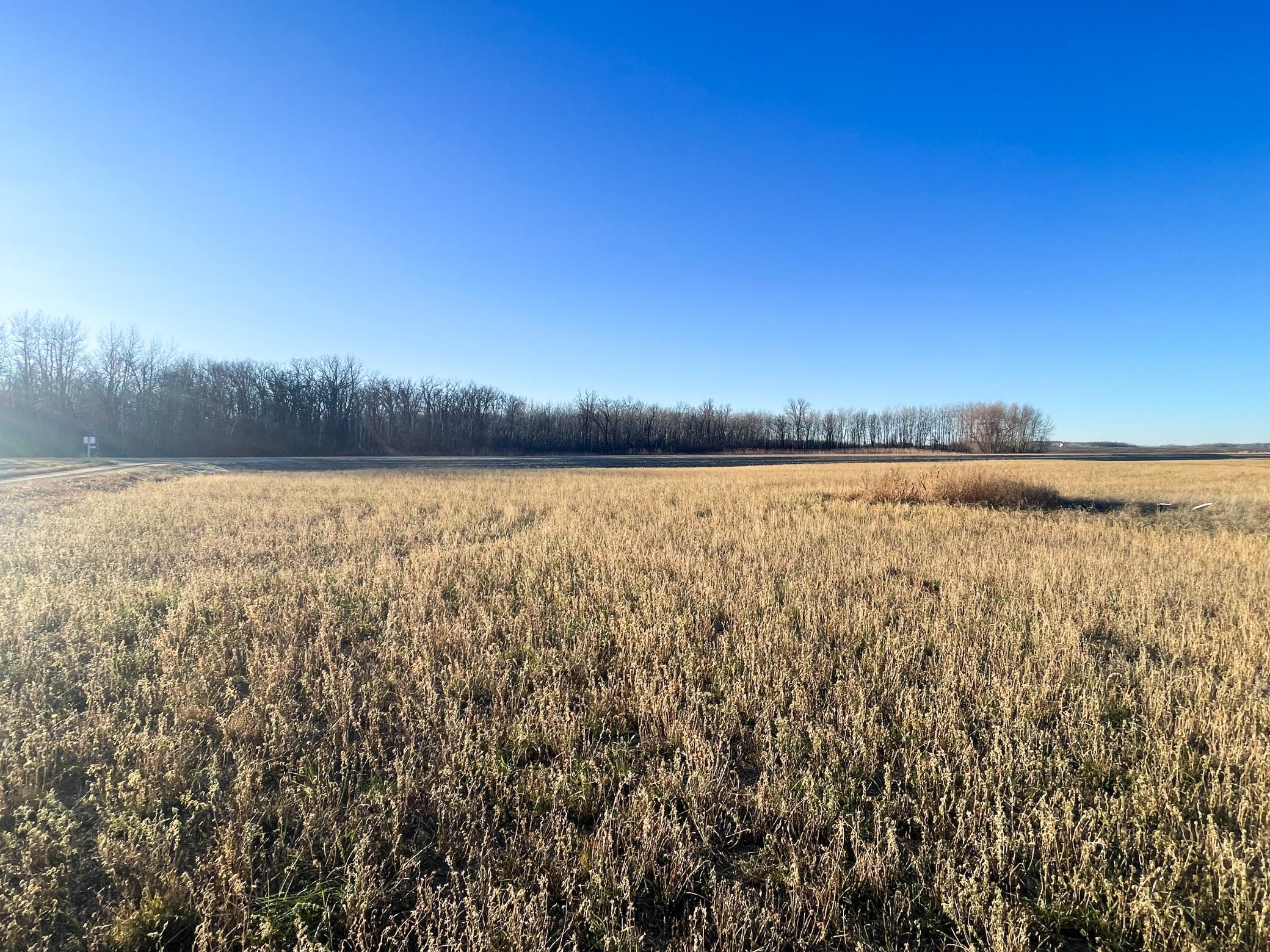 Tbd 440th Street Southeast Fertile, MN 56540 - Photo 25 of 43