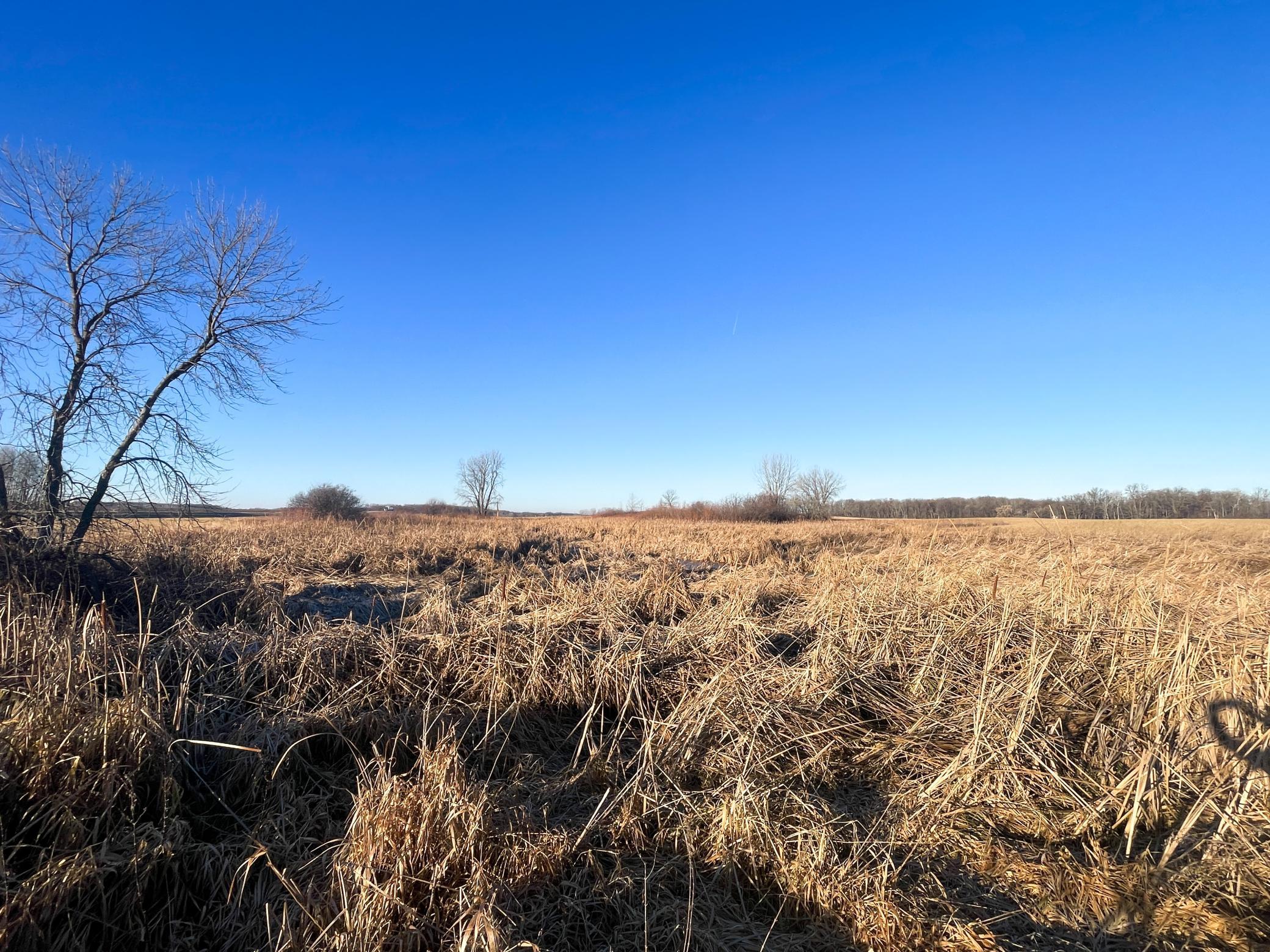 Tbd 440th Street Southeast Fertile, MN 56540 - Photo 26 of 43
