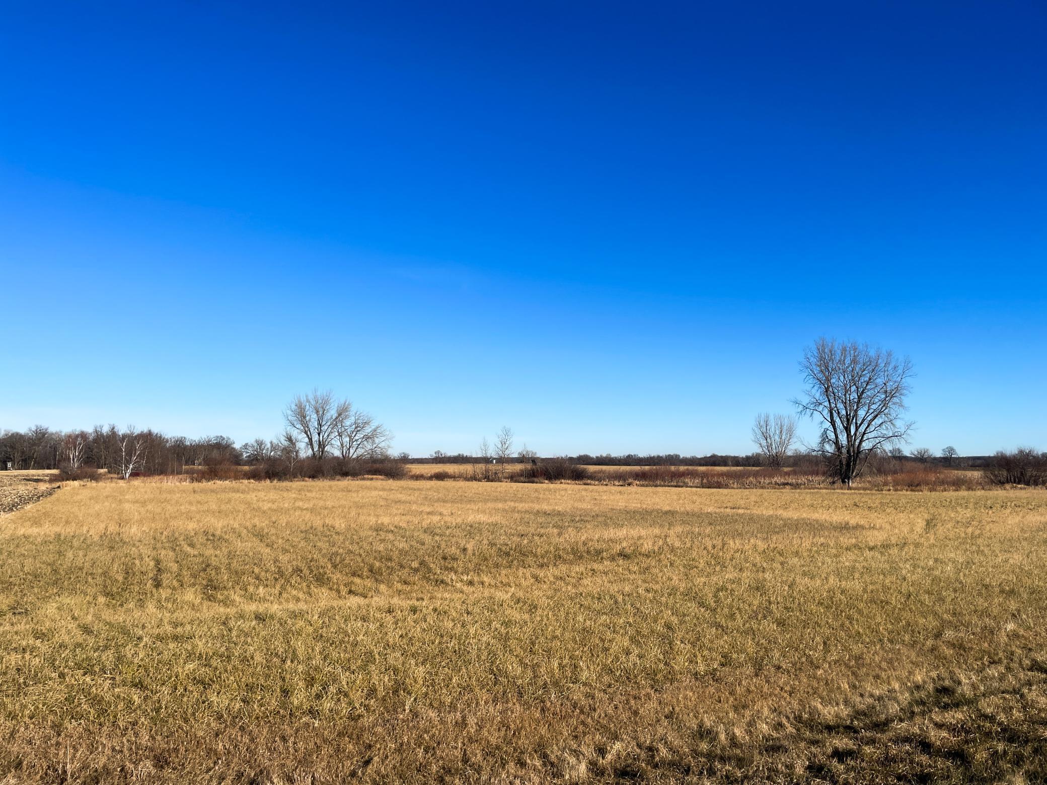 Tbd 440th Street Southeast Fertile, MN 56540 - Photo 29 of 43