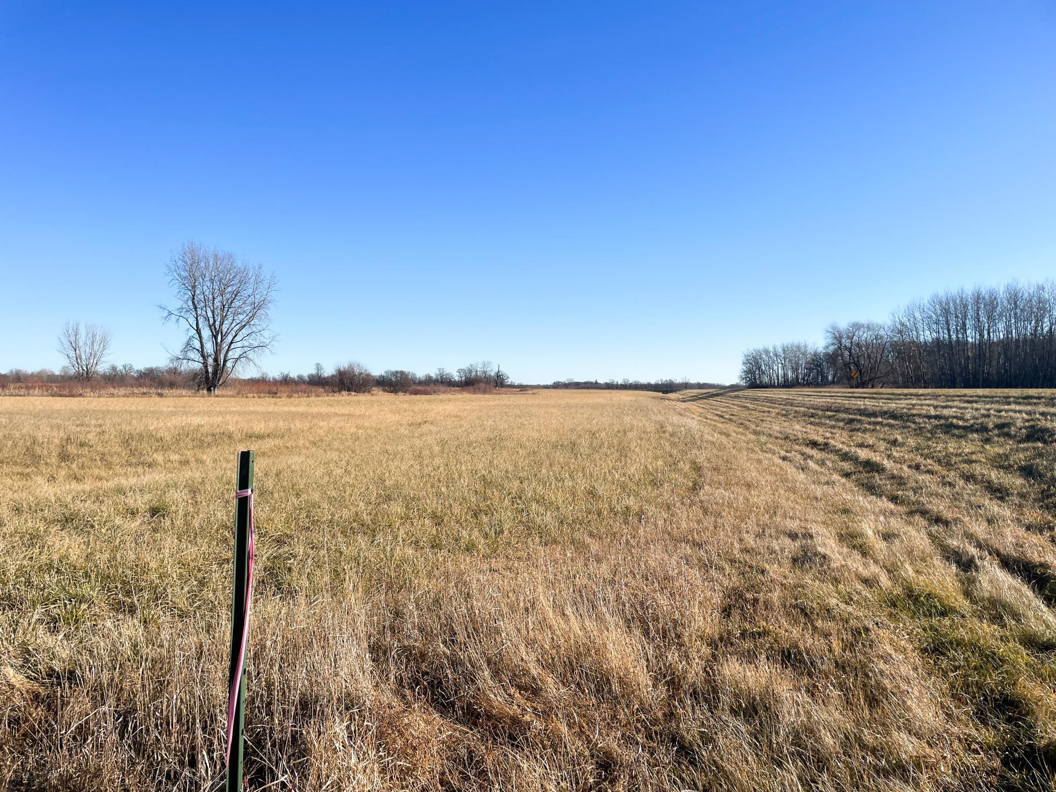 Tbd 440th Street Southeast Fertile, MN 56540 - Photo 31 of 43