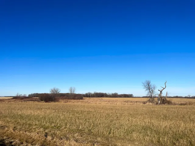 $117,000 | Tbd 440th Street Southeast, Fertile, MN 56540