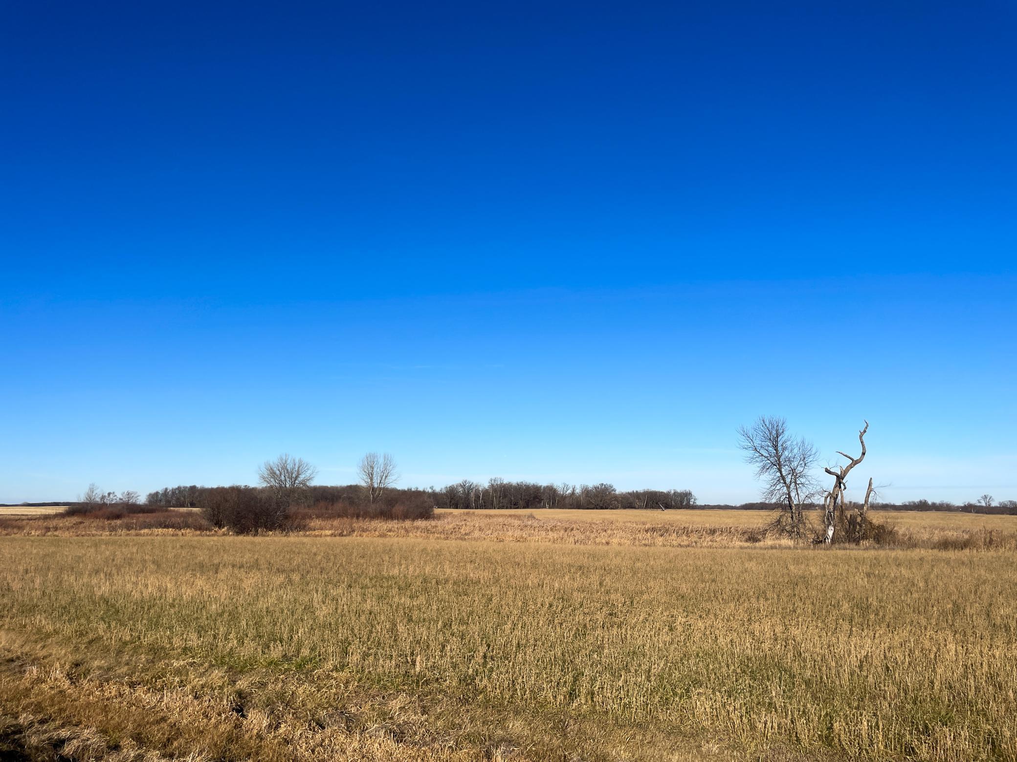 Tbd 440th Street Southeast Fertile, MN 56540 - Photo 33 of 43