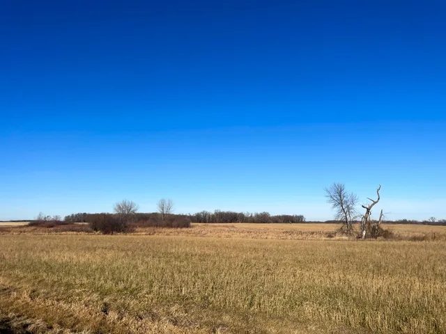 $117,000 | Tbd 440th Street Southeast, Fertile, MN 56540