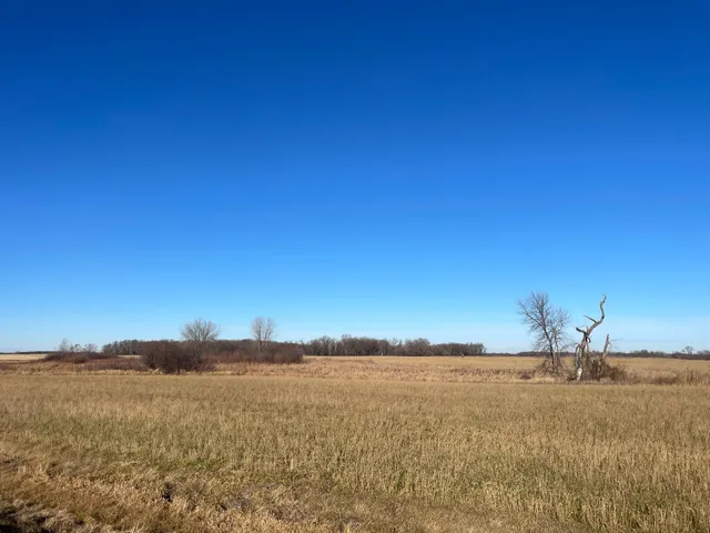 $117,000 | Tbd 440th Street Southeast, Fertile, MN 56540