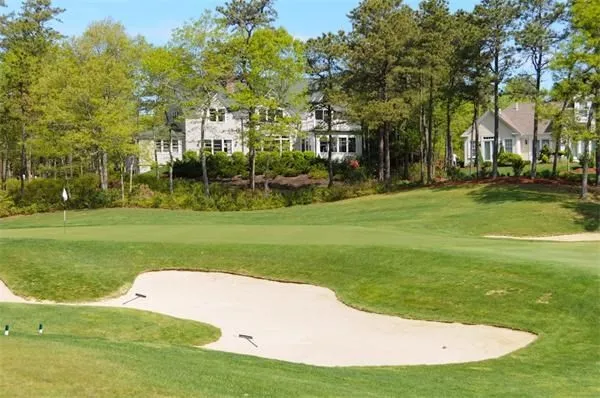 a view of a park with large trees