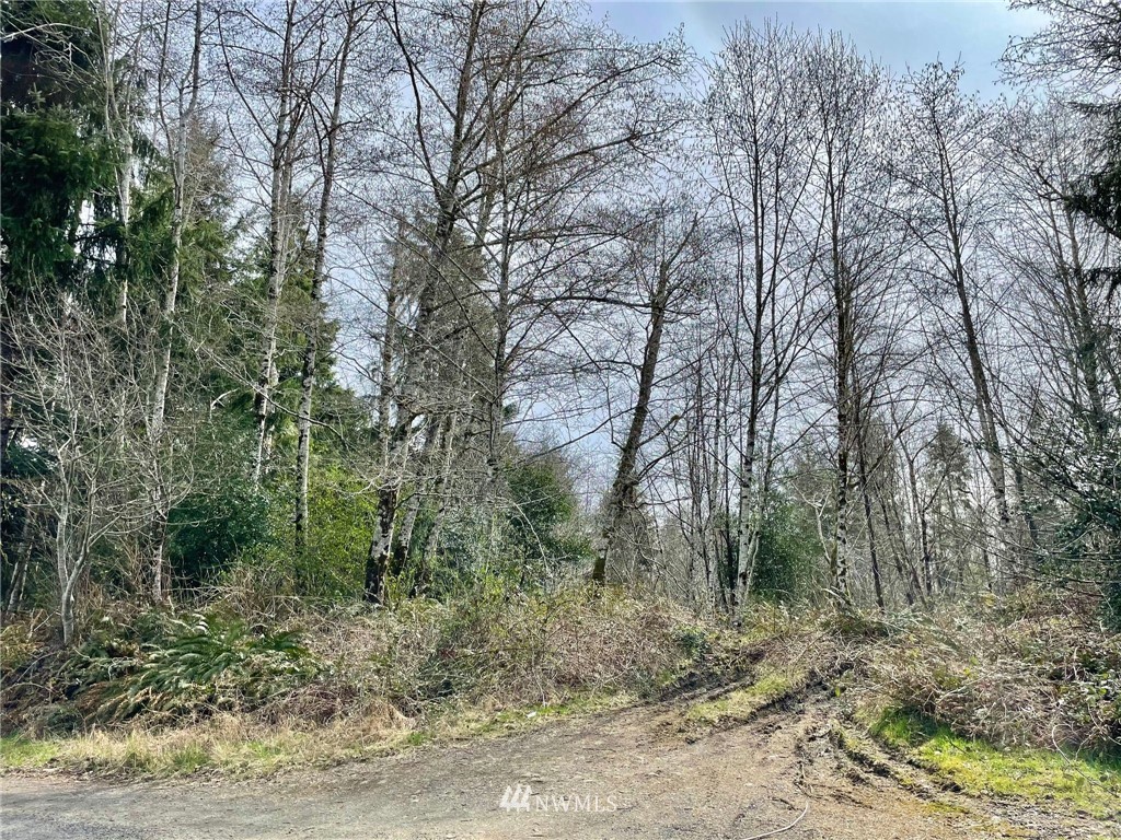0 Raymond South Bend Road Raymond, WA 98577 - Photo 1 of 11 Gallery Image 1