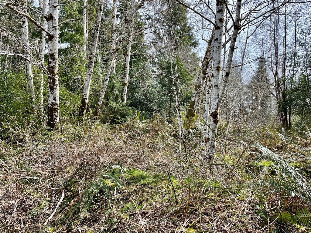 0 Raymond South Bend Road Raymond, WA 98577 - Photo 3 of 11 Gallery Image 3