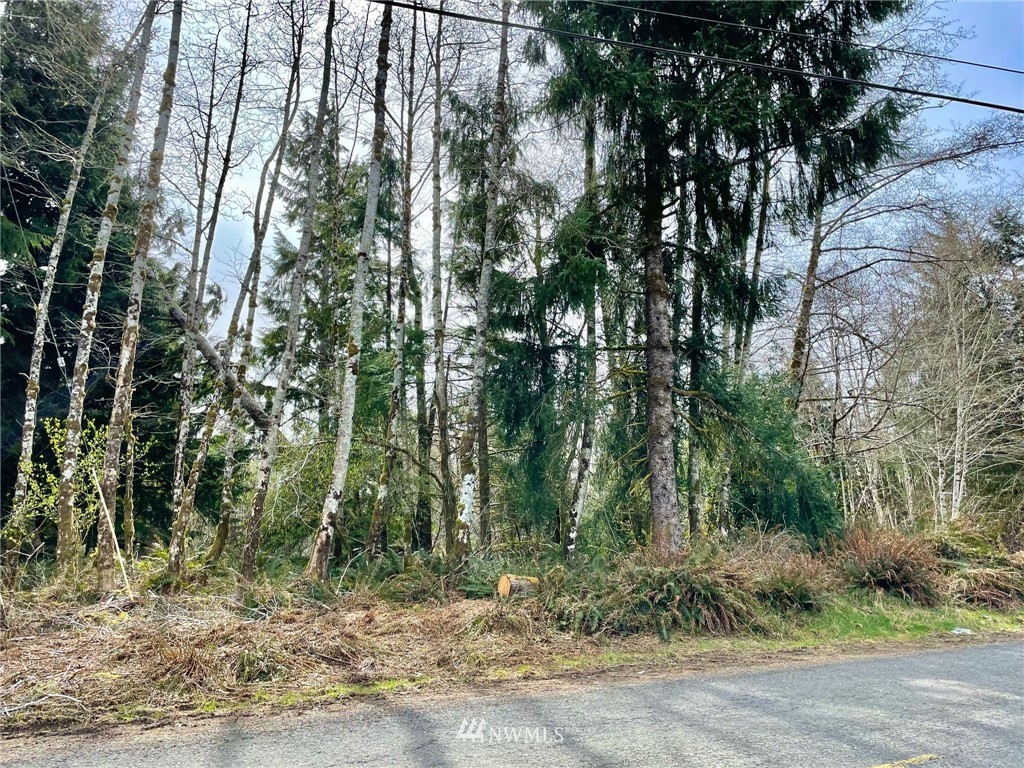 0 Raymond South Bend Road Raymond, WA 98577 - Photo 4 of 11 Gallery Image 4