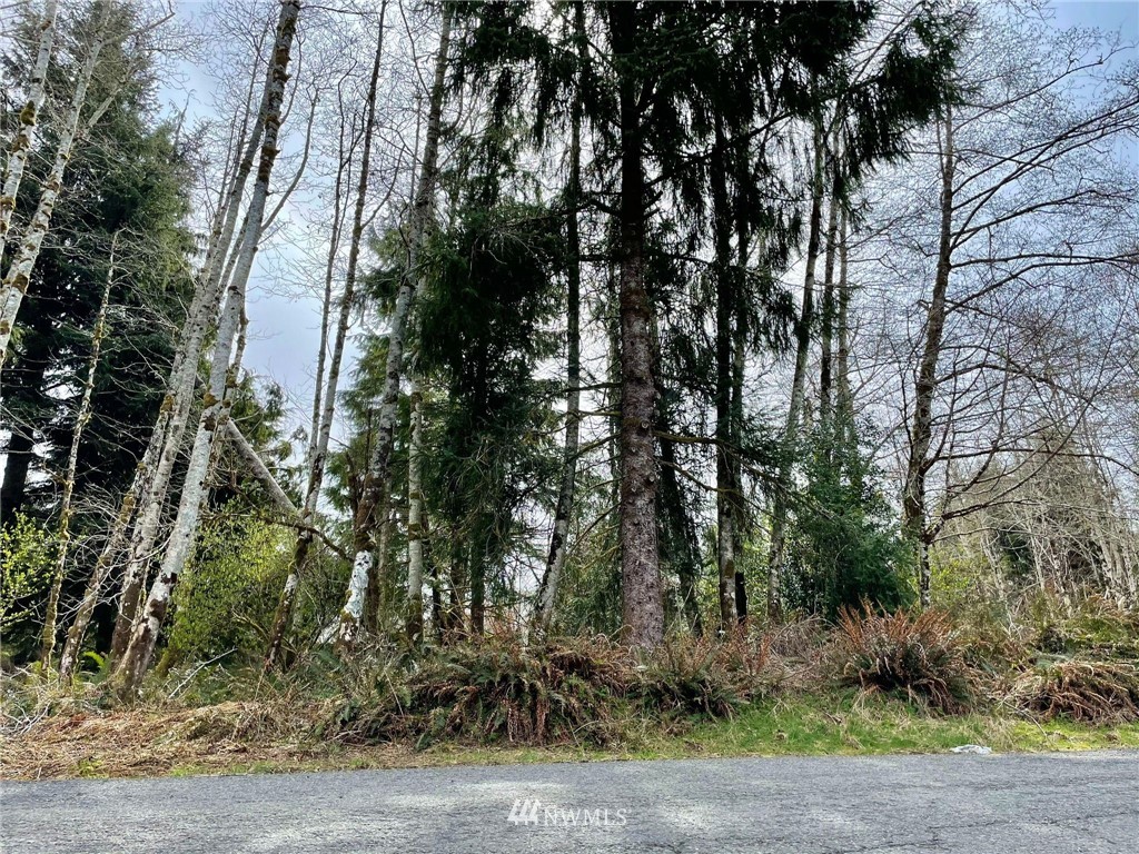 0 Raymond South Bend Road Raymond, WA 98577 - Photo 5 of 11 Gallery Image 5