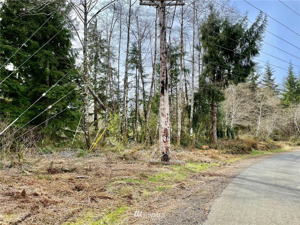 0 Raymond South Bend Road Raymond, WA 98577 - Photo 6 of 11 Gallery Image 6