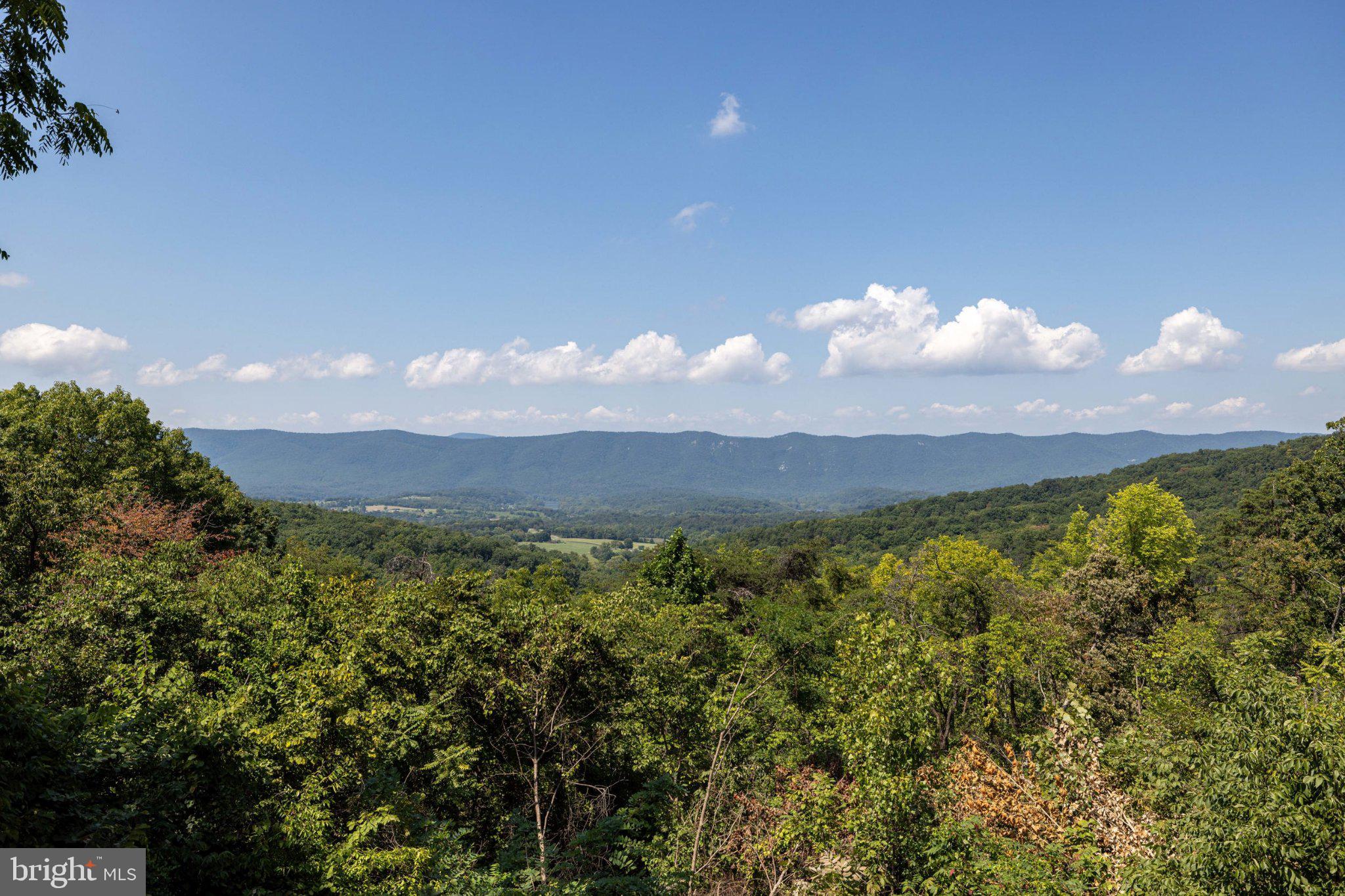 631 Overlook Drive Rileyville, VA 22650 - Photo 39 of 52 Gallery Image 39