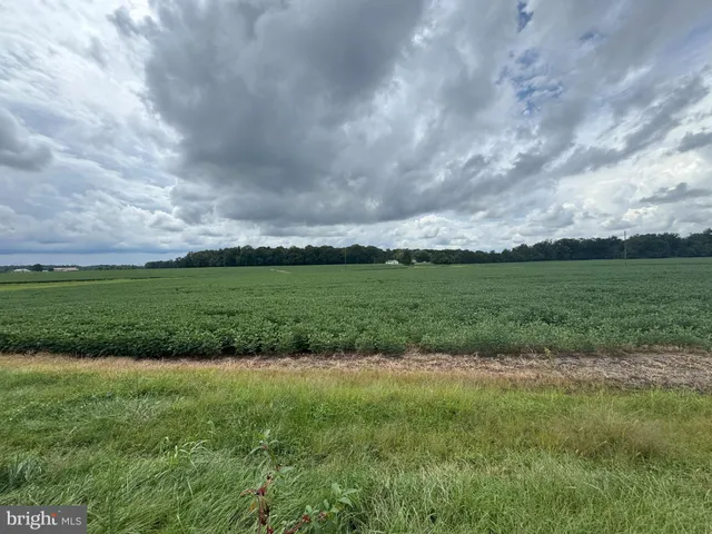 a view of a green field with clear sky