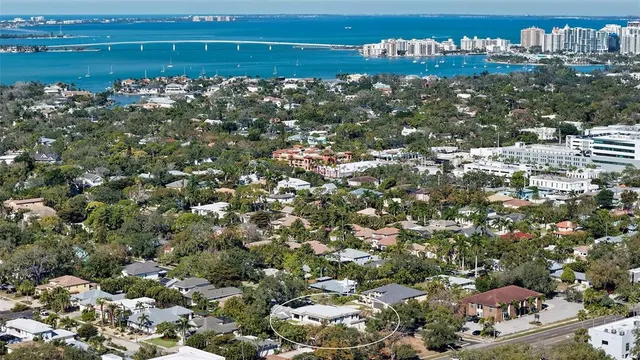 a living room with furniture potted plant and a large window