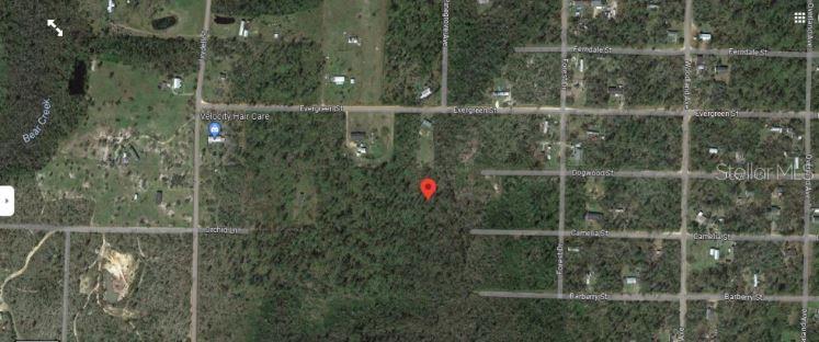N/a Fountain, FL 32438 - Photo 3 of 5