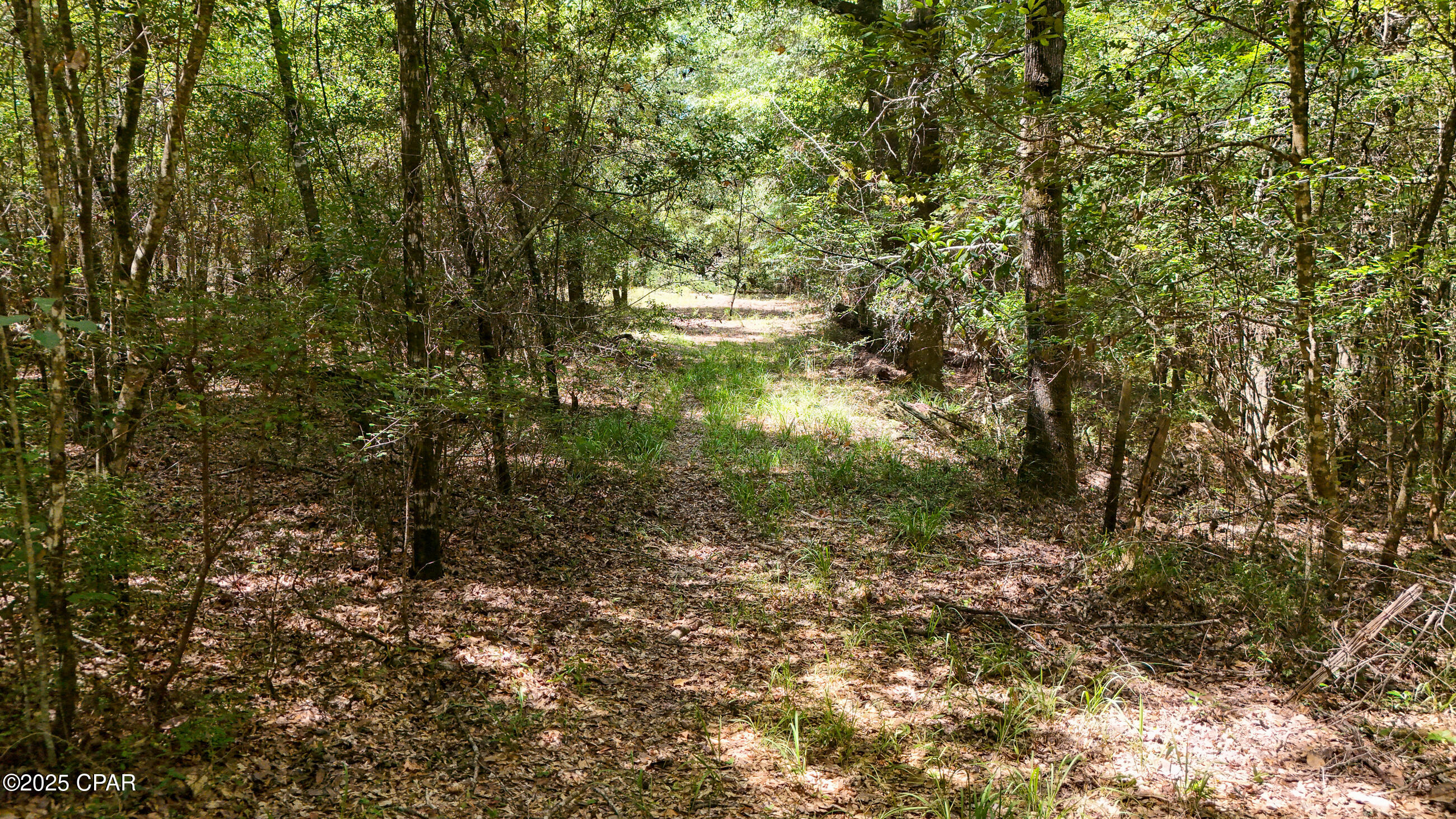 1730 Firetower Road Chipley, FL 32428 - Photo 39 of 49