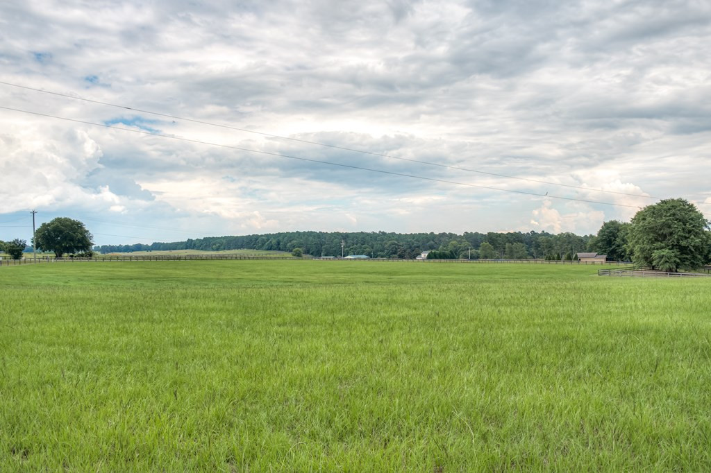 1850 Hatchaway Bridge Road Aiken, SC 29805 - Photo 21 of 32