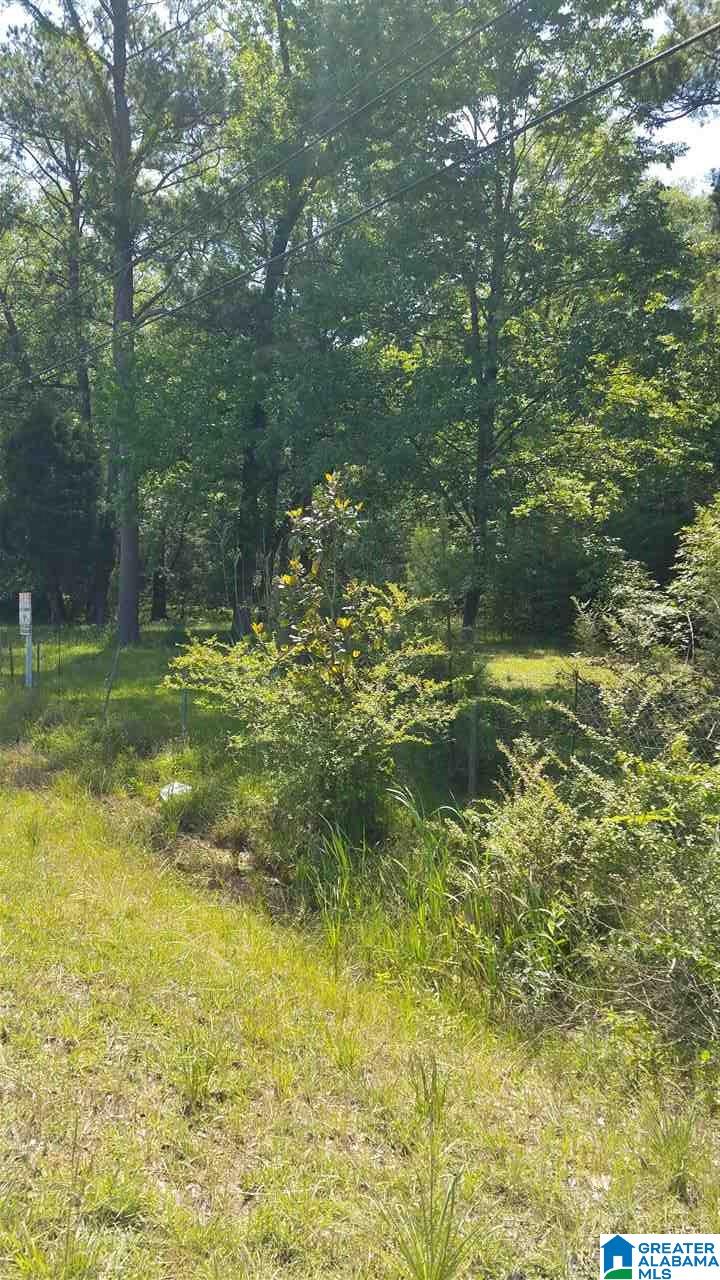 0 Highway 25 Calera, AL 35040 - Photo 2 of 2