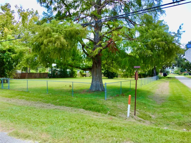 a view of a park with a tree