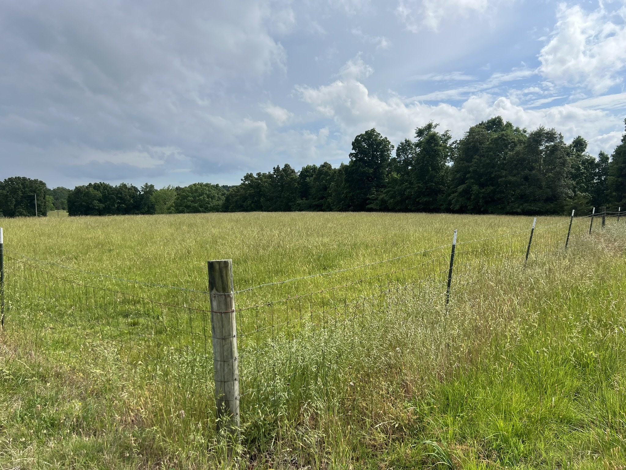 0 Bosham Road Westmoreland, TN 37186 - Photo 3 of 6