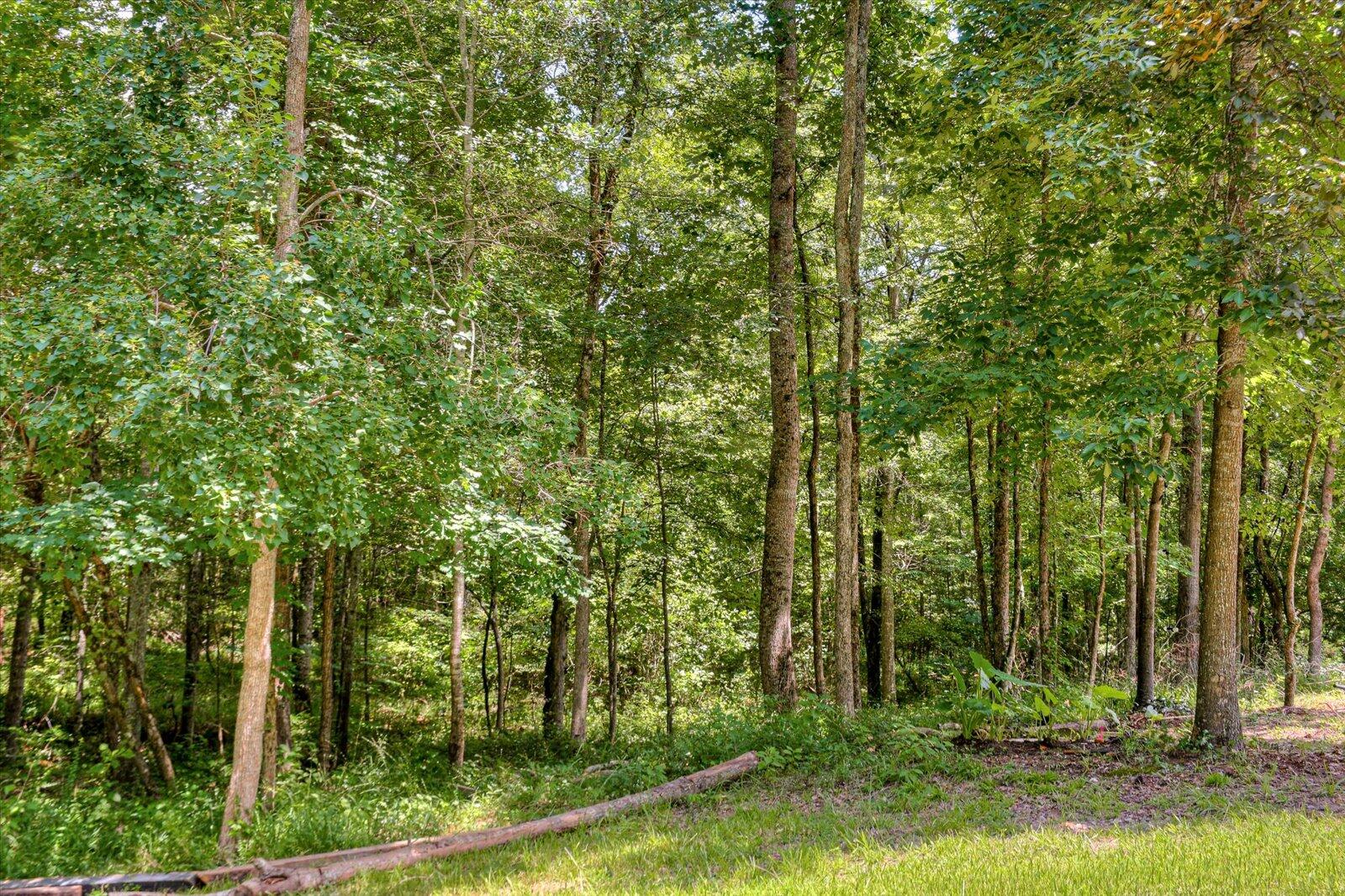 6494 Washington Road Appling, GA 30802 - Photo 44 of 51 45-145
