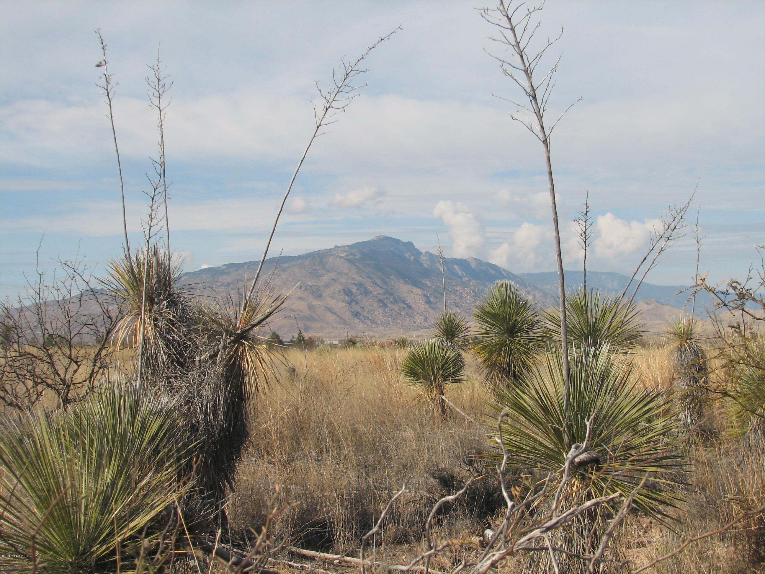 North Warren Road Benson, AZ 85602 - Photo 1 of 3