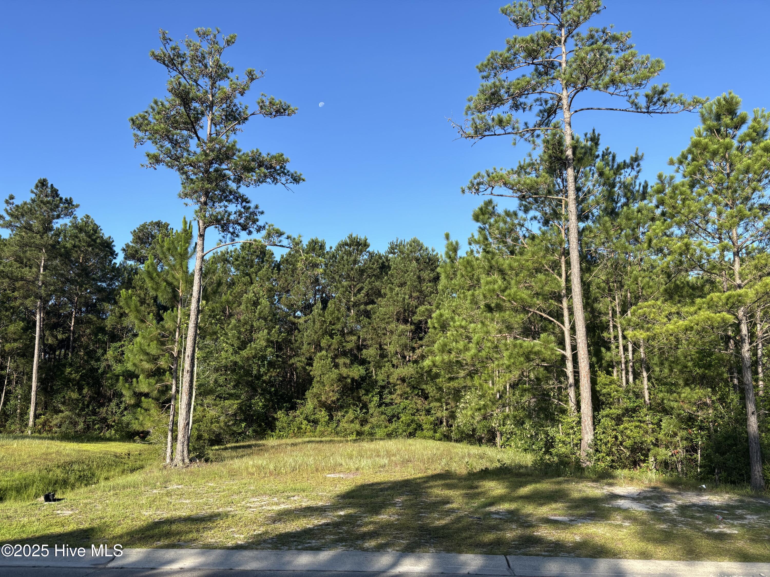 957 Ashburton Road Southeast Bolivia, NC 28422 - Photo 2 of 23 957