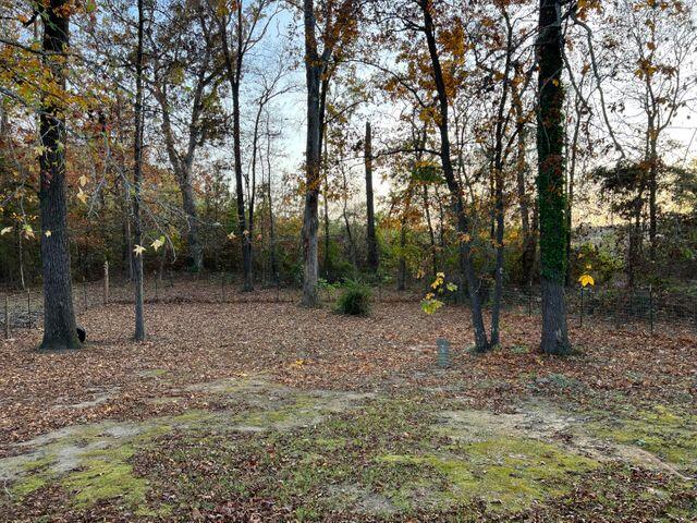 331 Metasville Road Lincolnton, GA 30817 - Photo 10 of 12 backyard