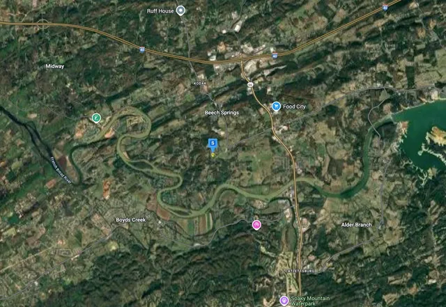 a green field with lots of bushes