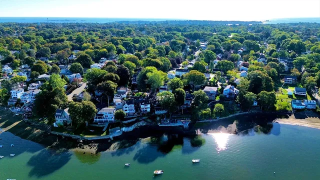 a view of a lake with a lot of trees
