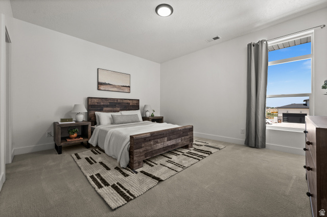 507 West Windmill Gate Cove Draper, UT 84020 - Photo 31 of 46 Bedroom featuring light colored carpet and baseboards