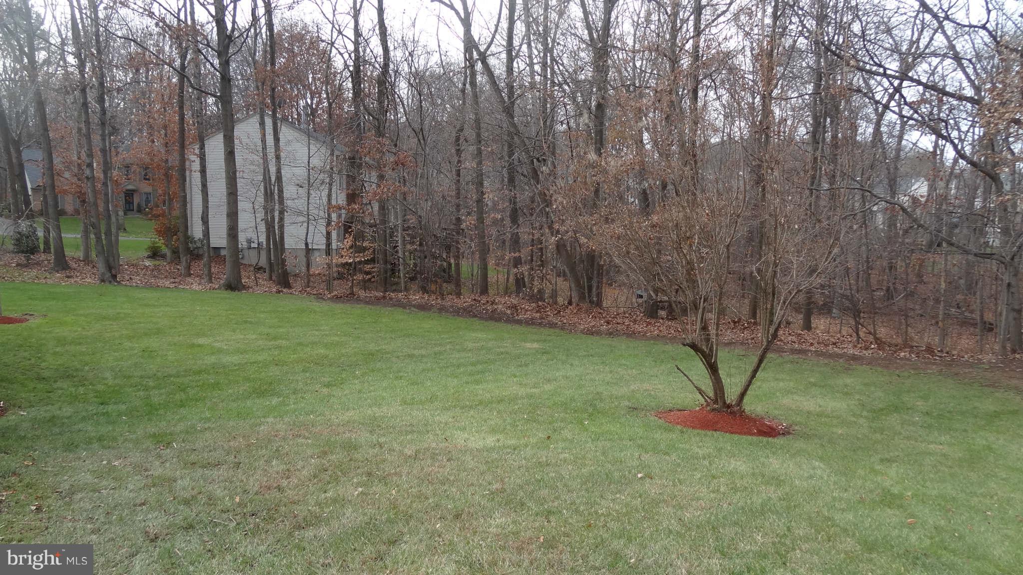 3628 Beaver Ford Road Woodbridge, VA 22192 - Photo 4 of 30 Exterior (Rear)