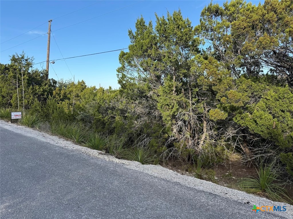 a view of a house with a tree