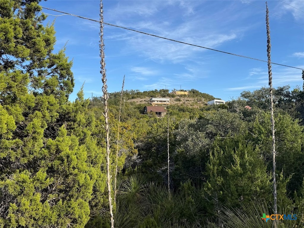 833 Valley Ridge Canyon Lake, TX 78133 - Photo 2 of 5 a view of a yard