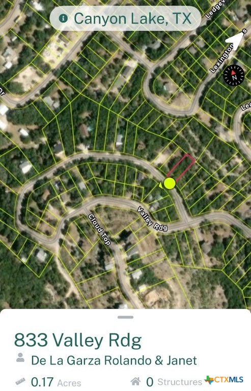 833 Valley Ridge Canyon Lake, TX 78133 - Photo 3 of 5 a black and white photo of a garden