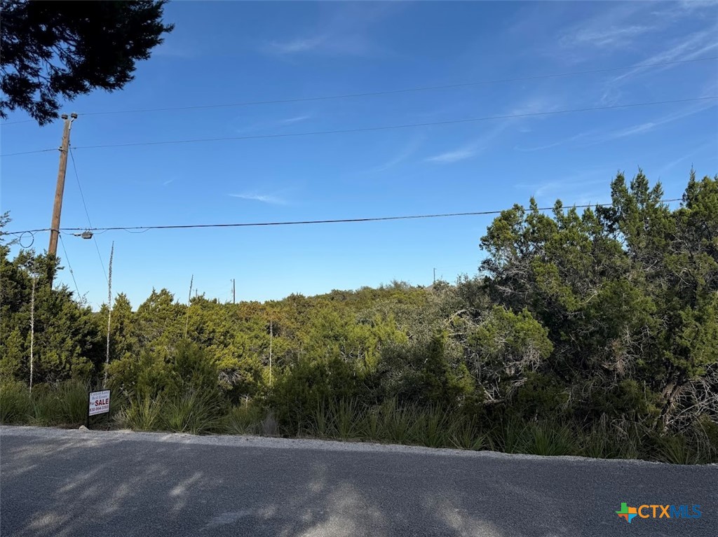 833 Valley Ridge Canyon Lake, TX 78133 - Photo 4 of 5 a view of a street
