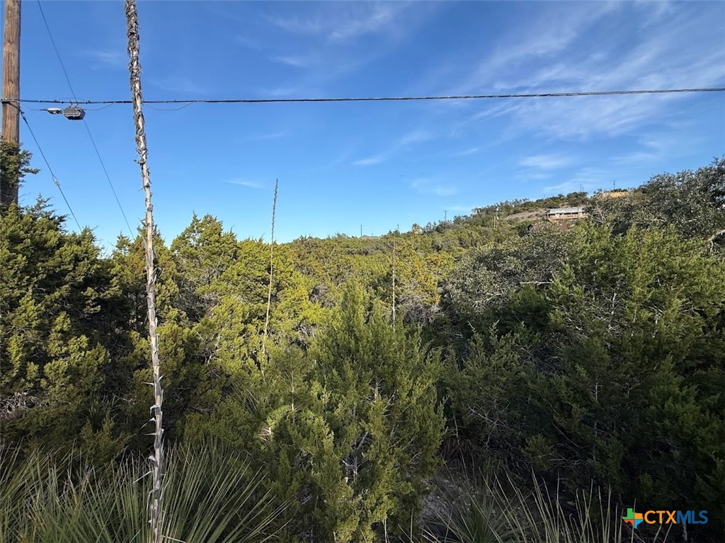833 Valley Ridge Canyon Lake, TX 78133 - Photo 5 of 5 a view of a yard