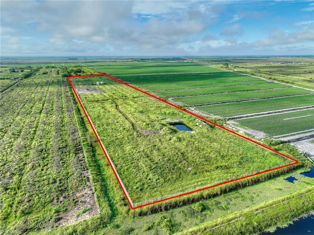7050 6th Road LaBelle, FL 33935 - Photo 7 of 12 a view of a yard with a wooden fence