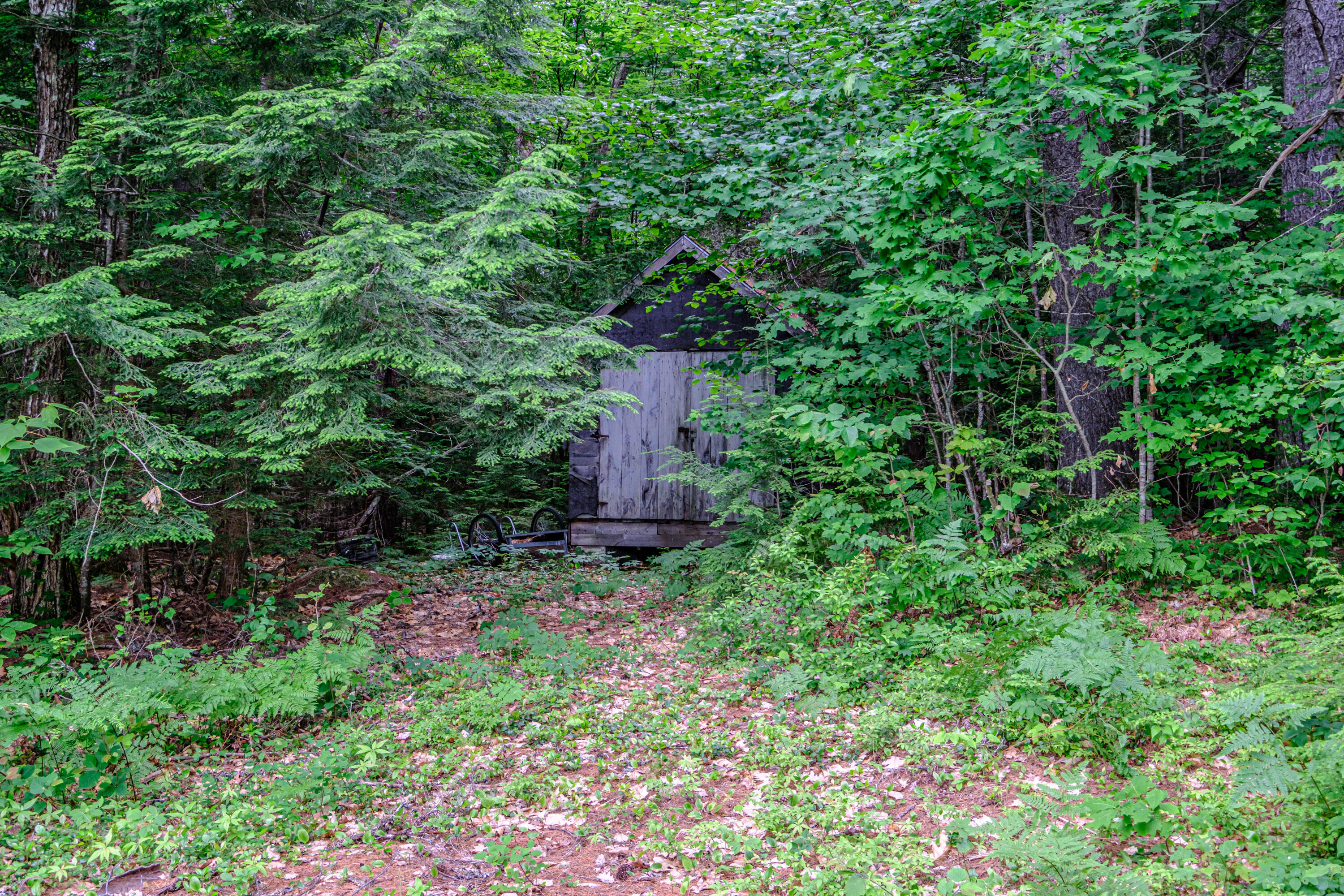 80 Wint Road Sweden, ME 04040 - Photo 65 of 73