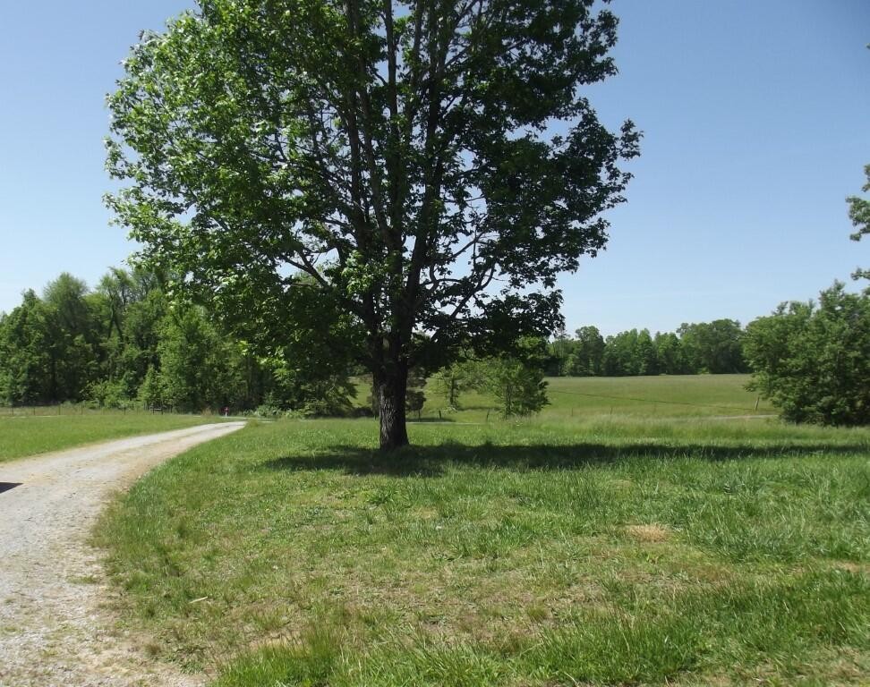 1394 Walt Reed Road Grandview, TN 37337 - Photo 55 of 68 Gallery Image 55