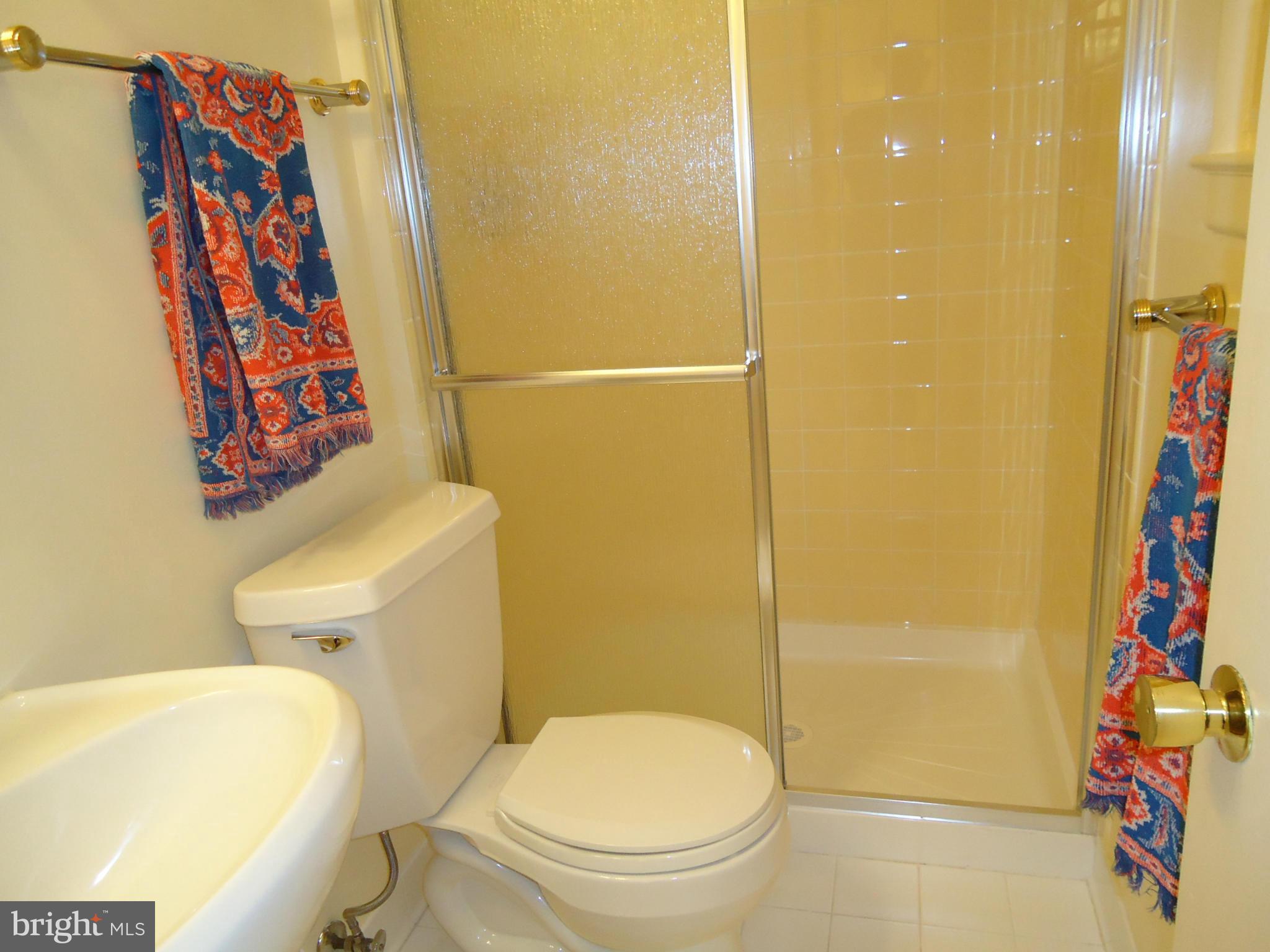 9612 McAlpine Road Silver Spring, MD 20901 - Photo 18 of 29 Bath (Master)